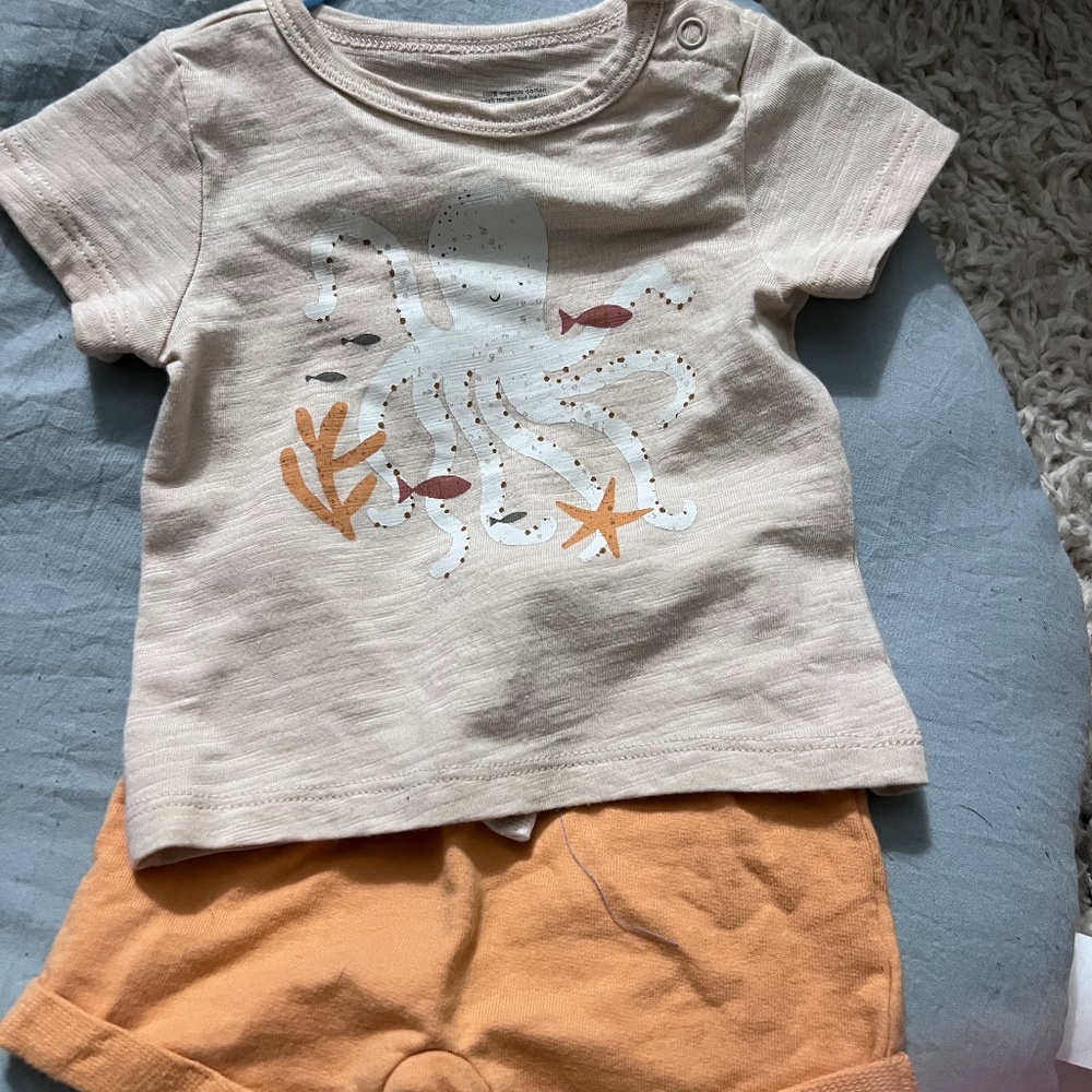 Little co lot